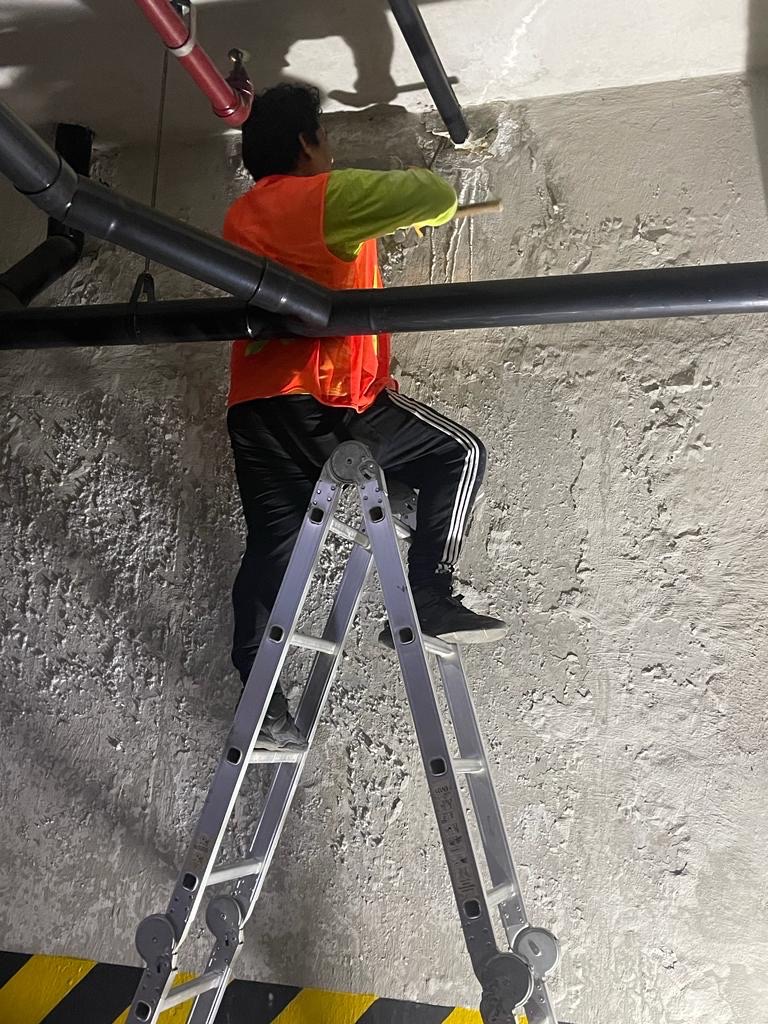 PHOTO-2022-12-06-18-34-34 de tamaño grande